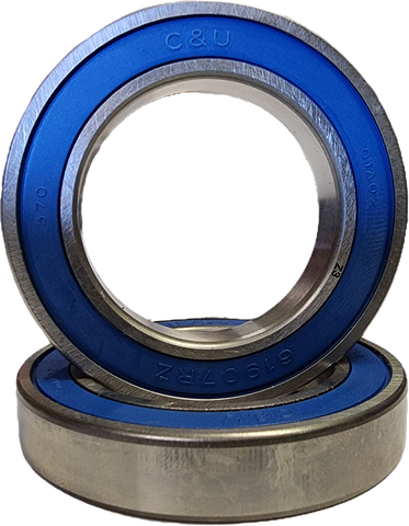 C&U (OEM) Stainless Ball Bearing Set - GTS/GT/XR/+/PINT/PINT X